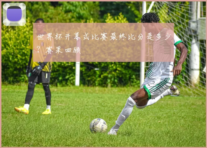 世界杯开幕式比赛最终比分是多少?赛果回顾